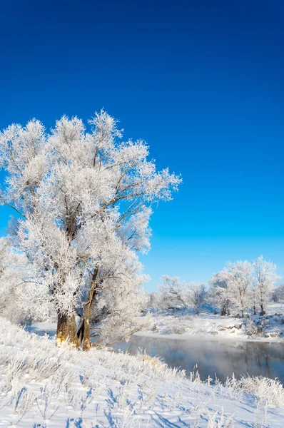 Inverno, inverno-maré, inverno-tempo — Fotografia de Stock