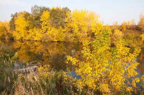 秋、秋、秋の葉、葉の秋 — ストック写真