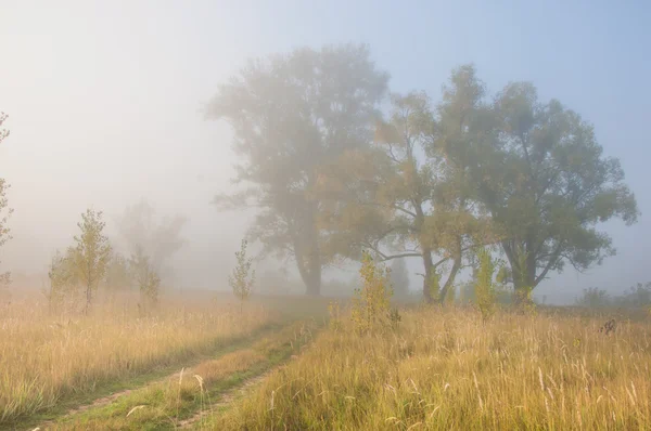 Herbst Herbst Blattfall Blattfall Die Dritte Jahreszeit Wenn Getreide Und — Stockfoto