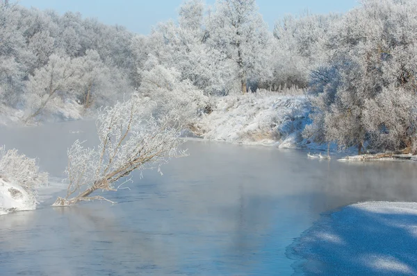 Winter Winter Tij Winter Tijd Hibernate Hij Koudste Seizoen Van — Stockfoto