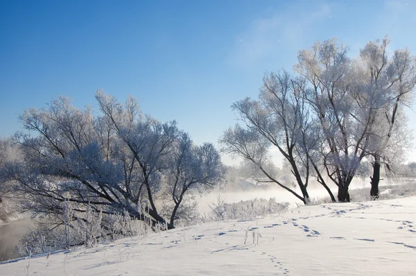 Winter, wintergetij, wintertijd — Stockfoto