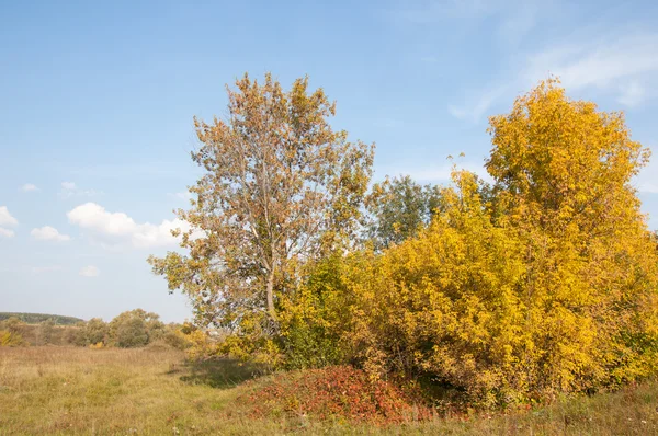 autumn, fall, leaf fall, fall of the leaf. the third season of the year, when crops and fruits are gathered and leaves fall