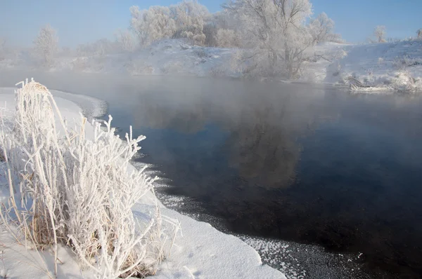 Vinter Vinter Tid Vinter Tid Dvala Han Kallaste Årstid Norra — Stockfoto