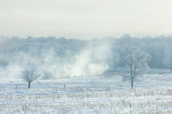 Inverno Marea Invernale Inverno Ibernazione Stagione Più Fredda Dell Anno — Foto Stock