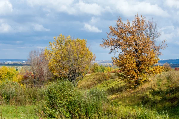 Wonderful Time Fall Golden Leaves Warm Days — Stock Photo, Image