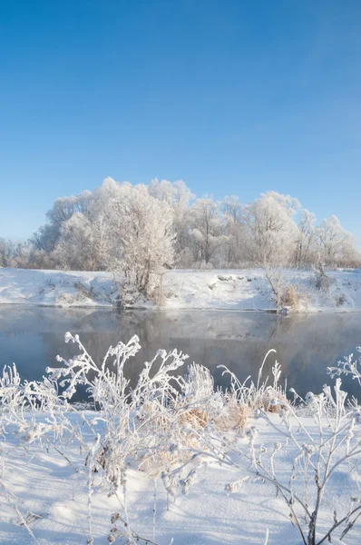 その年の最も寒い季節 12月から2月まで北半球と6月から8月まで南半球で — ストック写真