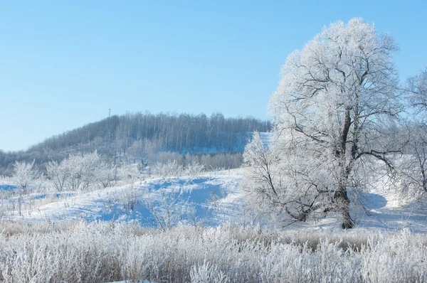 Inverno, inverno-maré, inverno-tempo — Fotografia de Stock