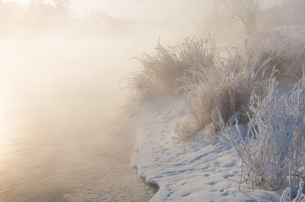 Winterlandschap Bomen Struiken Met Rijm Het Water Rivier Drijvende Mist — Stockfoto