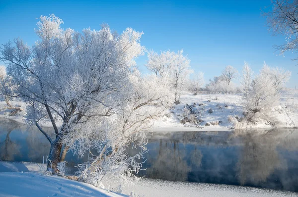Winter Flut Winterzeit Winterschlaf Die Kälteste Jahreszeit Des Jahres — Stockfoto