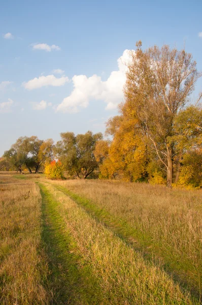 Herbst Herbst Blattfall Blattfall Die Dritte Jahreszeit Wenn Getreide Und — Stockfoto