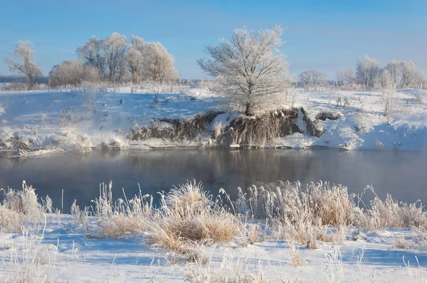 Winterlandschap Bomen Struiken Met Rijm Het Water Rivier Drijvende Mist — Stockfoto