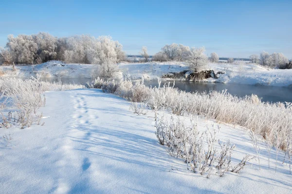 Paisaje Invernal Árboles Arbustos Con Escarcha Agua Río Niebla Flotante —  Fotos de Stock