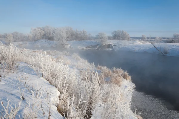 Winter Landscape Trees Bushes Hoarfrost Water River Floating Mist Cold — Stock Photo, Image