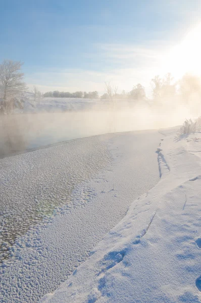 Vinter Vinter Tid Vinter Tid Dvala Han Kallaste Årstid Norra — Stockfoto