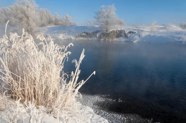 Paisaje Invernal Árboles Arbustos Con Escarcha Agua Río Niebla Flotante — Foto de Stock