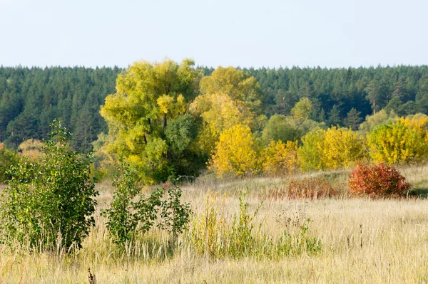 Herbst Herbst Blattfall Blattfall Die Dritte Jahreszeit Wenn Getreide Und — Stockfoto