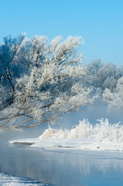 Winter Flut Winterzeit Winterschlaf Die Kälteste Jahreszeit Des Jahres Auf — Stockfoto