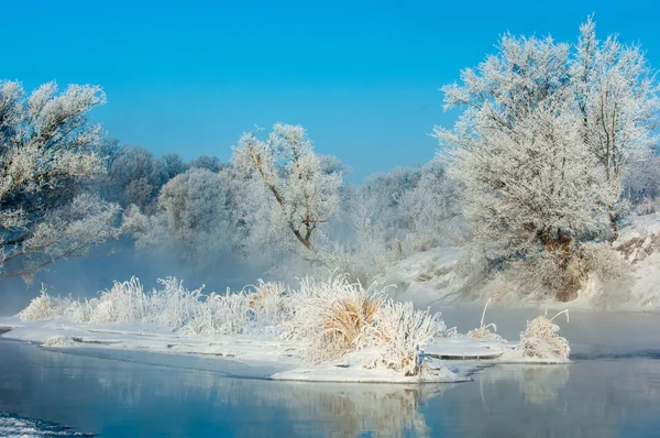 Winterlandschap Frost Frost Bomen Extreme Kou Rijm Een Grijs Wit — Stockfoto