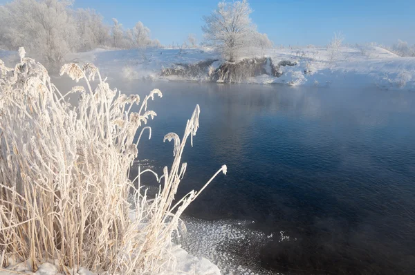 Зимний Пейзаж Мороз Деревьях Холодно Хриплый Серовато Белый Кристаллический Осадок — стоковое фото