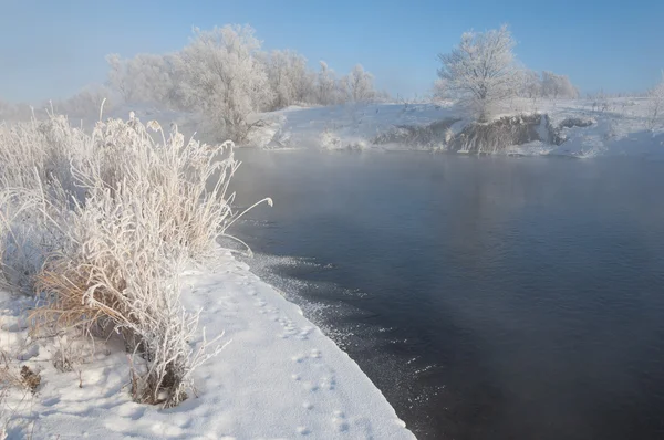 Zimowy Krajobraz Frost Szron Drzewach Ekstremalnie Niskich Temperatur Szronu Szaro — Zdjęcie stockowe