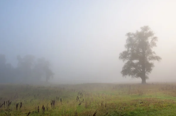 Herbst Herbst Blattfall Blattfall Die Dritte Jahreszeit Wenn Getreide Und — Stockfoto