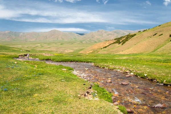 Berg, mount, hill — Stockfoto