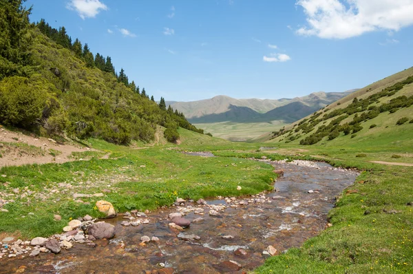 Mountain, mount, hill — Stock Photo, Image