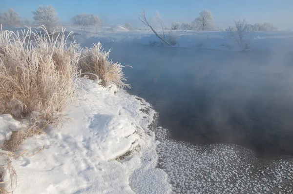 Winter Landscape Frost Frost Trees Extreme Cold Hoarfrost Grayish White — Stock Photo, Image