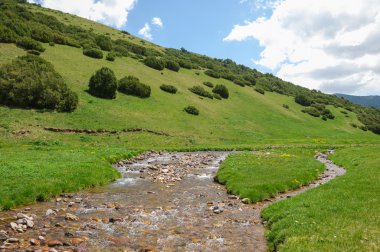 dağ, dağ, tepe. Kazakistan. Tien Shan. Takma Yaylası