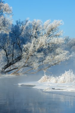 kış, kış-gelgit, kış zamanı, hibernate, o yılın en soğuk sezon
