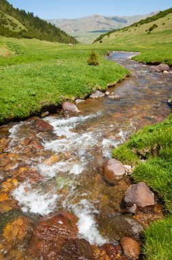 dağ, dağ, tepe. Kazakistan. Tien Shan. Takma Yaylası