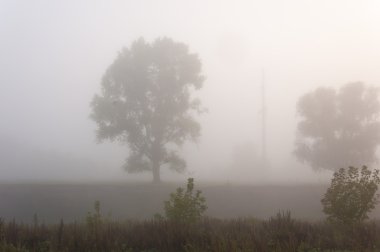Sonbahar, Güz, yaprak sonbahar, sonbahar yaprak. yaprakları ve otelde bitkileri ve meyve toplandık yılın üçüncü sezon sonbahar