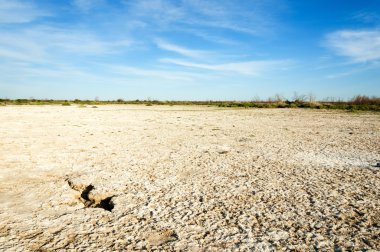 Serum fizyolojik bozkır. Ölü bitkiler. Sıcak yaz. cansız yanıp kavrulmuş dünyamız. Kazakistan çıplak bozkır