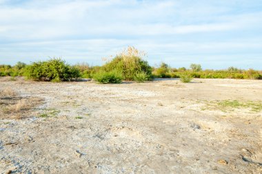 Serum fizyolojik bozkır. Ölü bitkiler. Sıcak yaz. cansız yanıp kavrulmuş dünyamız. Kazakistan çıplak bozkır