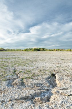 Serum fizyolojik bozkır. Ölü bitkiler. Sıcak yaz. cansız yanıp kavrulmuş dünyamız. Kazakistan çıplak bozkır