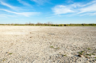 Serum fizyolojik bozkır. Ölü bitkiler. Sıcak yaz. cansız yanıp kavrulmuş dünyamız. Kazakistan çıplak bozkır