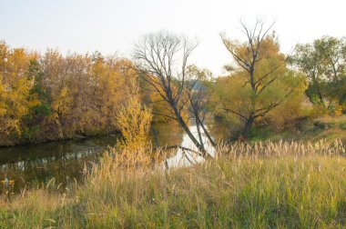 Sonbahar, Güz, yaprak sonbahar, sonbahar yaprak. yaprakları ve otelde bitkileri ve meyve toplandık yılın üçüncü sezon sonbahar