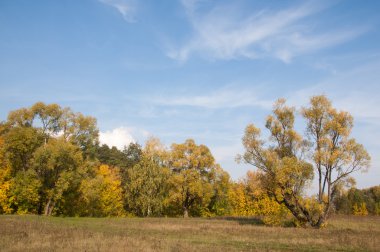 Sonbahar, Güz, yaprak sonbahar, sonbahar yaprak. yaprakları ve otelde bitkileri ve meyve toplandık yılın üçüncü sezon sonbahar