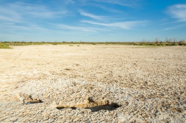 Serum fizyolojik bozkır. Ölü bitkiler. Sıcak yaz. cansız yanıp kavrulmuş dünyamız. Kazakistan çıplak bozkır