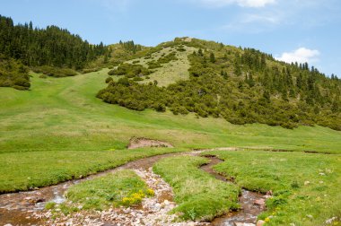 dağ, dağ, tepe. Kazakistan. Tien Shan. Takma Yaylası