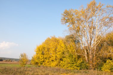 Sonbahar, Güz, yaprak sonbahar, sonbahar yaprak. yaprakları ve otelde bitkileri ve meyve toplandık yılın üçüncü sezon sonbahar