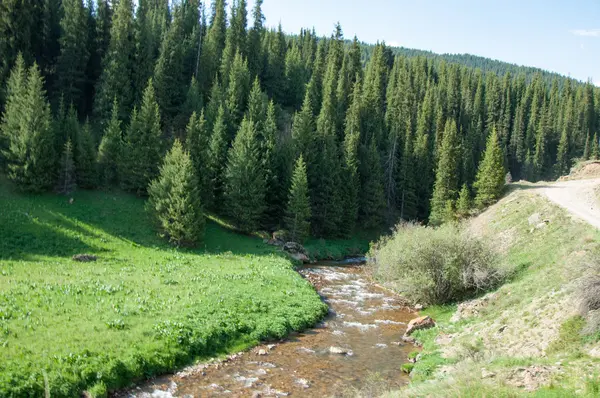 Dağ Dağ Tepe Kazakistan Tien Shan Takma Yaylası — Stok fotoğraf