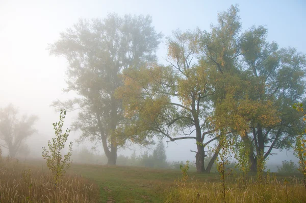 Herbst Herbst Blattfall Blattfall Die Dritte Jahreszeit Wenn Getreide Und — Stockfoto