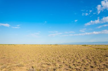  Bozkır yaz. Turgai kapısı. Turgai Kaydet. Milli Parkı 