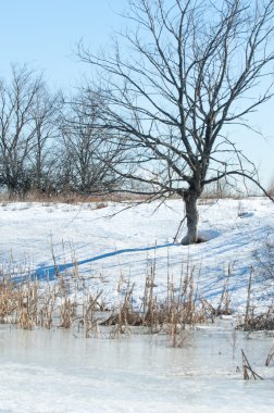 Donmuş gölün bahar. Bahar buz