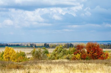 Sonbahar, altın yaprakları, harika bir zaman gün sıcak