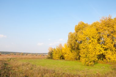 Sonbahar, Güz, yaprak sonbahar, sonbahar yaprak. yaprakları ve otelde bitkileri ve meyve toplandık yılın üçüncü sezon sonbahar