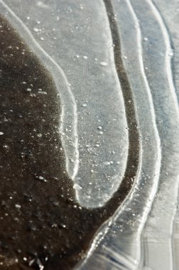 doku. Donmuş su birikintisi, Bahar, buz kalıpları. 