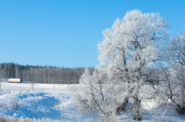 Vinter Vinter Tide Vintern Övervintra Han Kallaste Årstid — Stockfoto