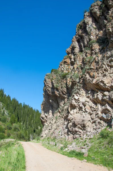 Dağ Dağ Tepe Kazakistan Tien Shan Takma Yaylası — Stok fotoğraf